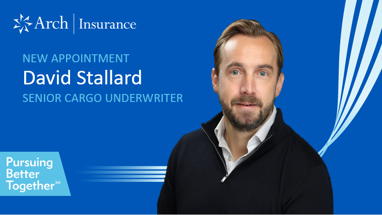 David Stallard appointment thumbnail